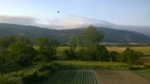 Vistas desde el balcn de Casa Zubiarena